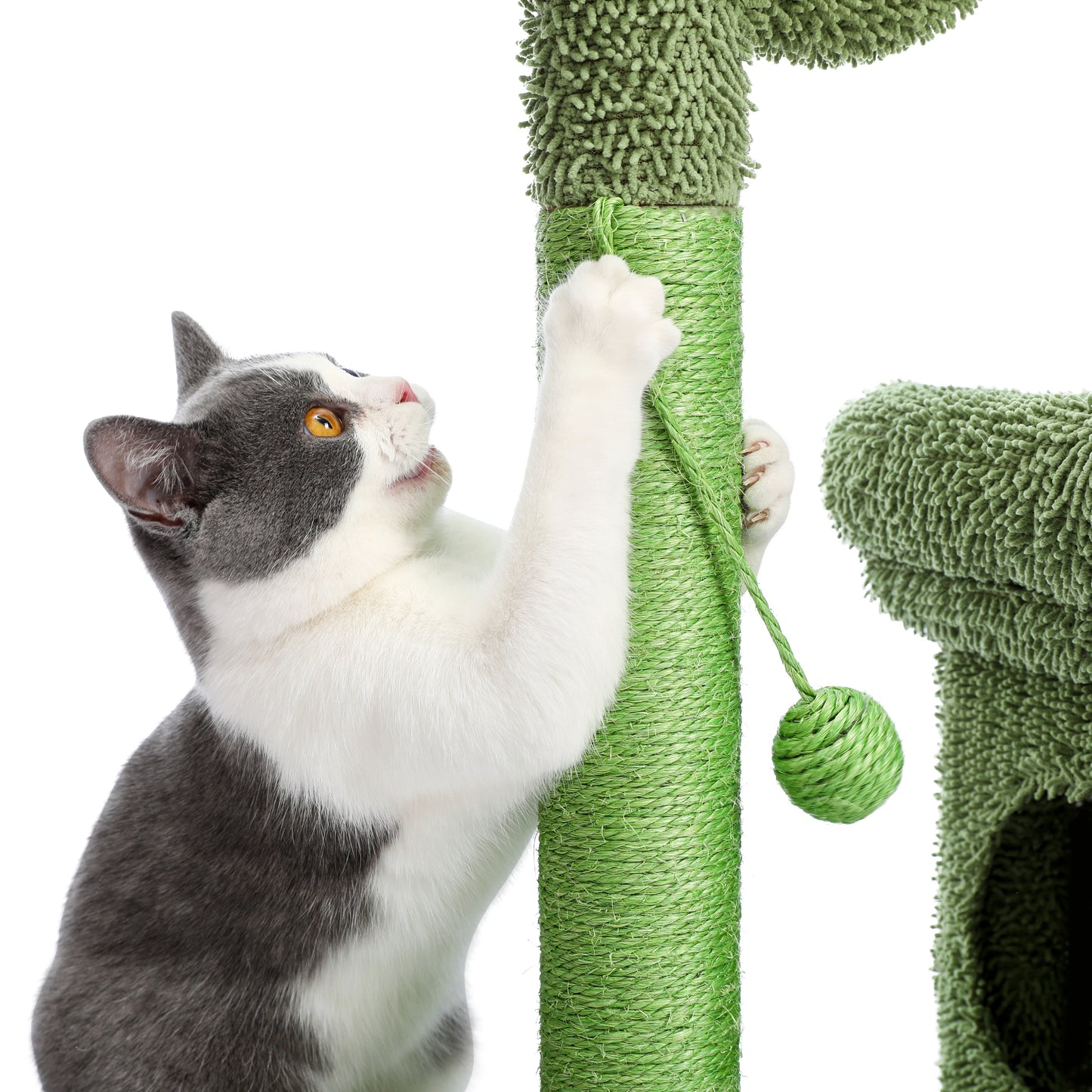 2 IN 1 Cactus Cat Tree Cat Tower With Sisal Covered Scratching Post Cozy Condo Plush Perch Dangling Ball for Indoor Cats